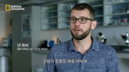 [스압] 맛있는 노란색 가설.jpg