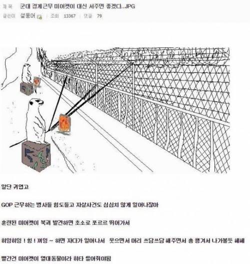 군대에 미어캣을 도입하면.jpg