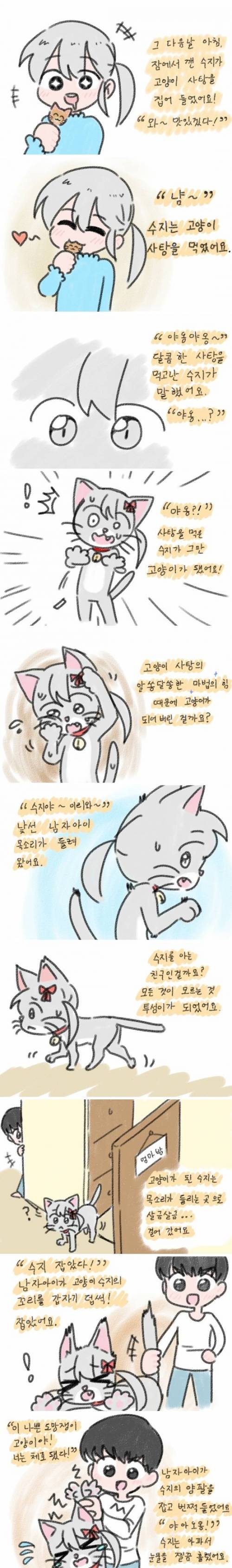 [스압] 고양이 사탕.jpg