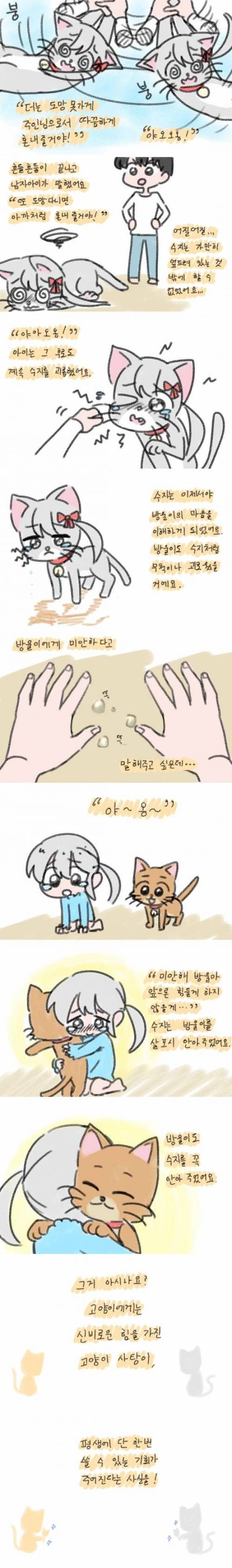 [스압] 고양이 사탕.jpg
