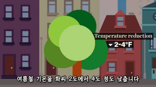 [스압] 도시에 나무를 더 많이 심어야 하는 이유