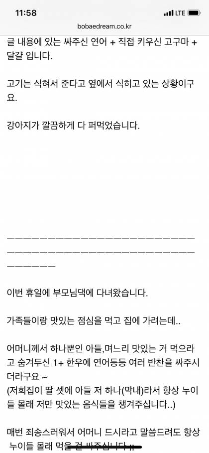 엄마가 싸준 음식 개 주는 와이프