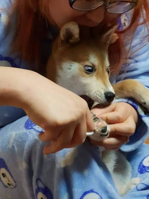 손톱을 자르는데 물어서 저도 물기로 했습니다.