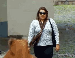 강제 제다이.gif