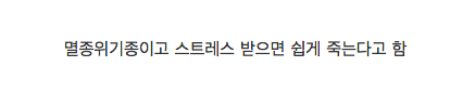 고래상어 근황.jpg