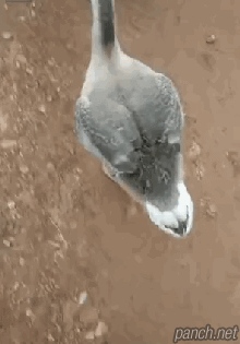 우왕, 퇴근이다!.gif