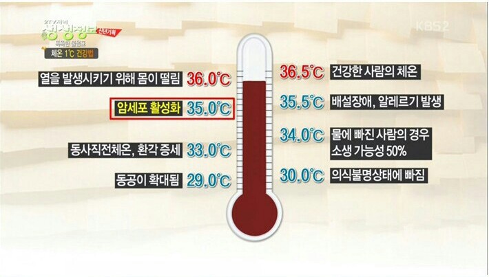 체온의 중요성.jpg
