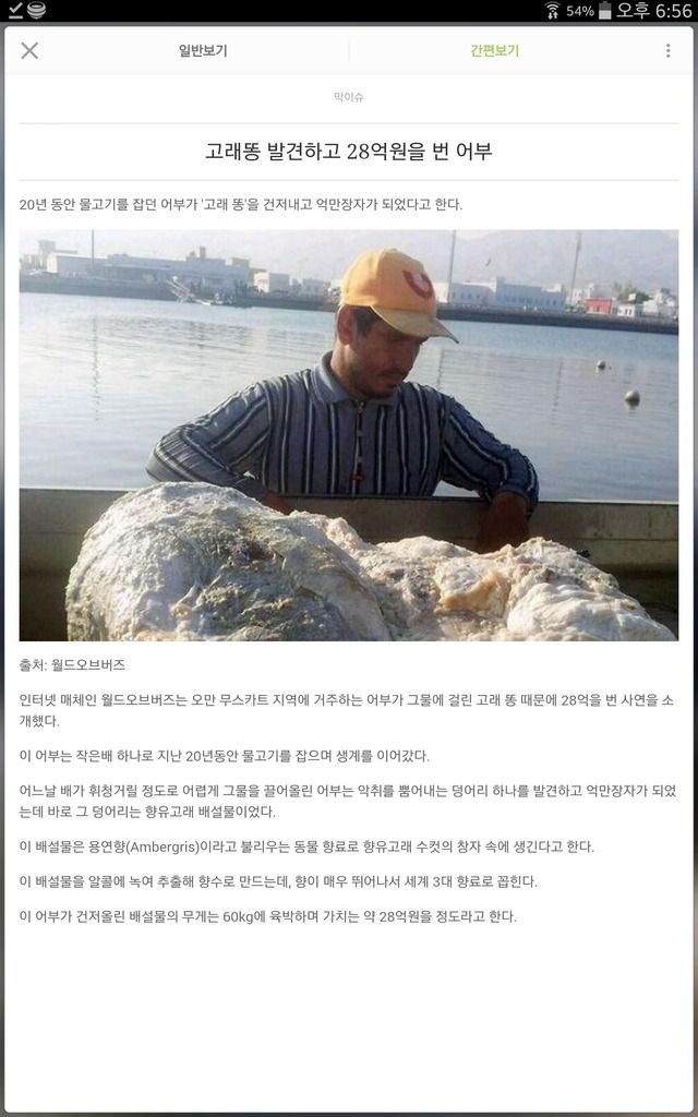 똥으로 28억.jpg