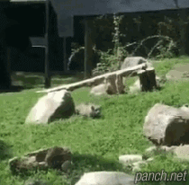 다 알면서 놀란척 해주기.gif