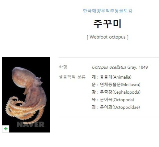 맞게 쓰는 사람이 거의 없는 표준어.jpg