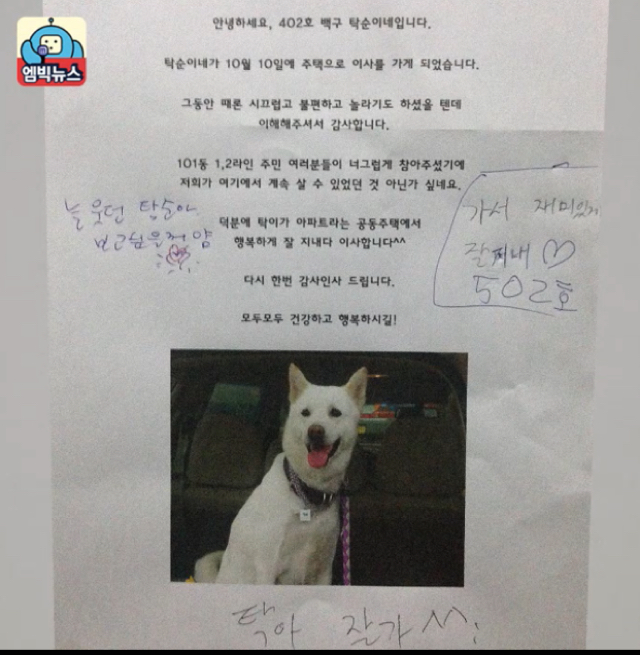 아파트 살던 댕댕이 이사가던날.jpg