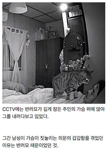 제가 매일 가위에 눌렸던 이유를 CCTV를 보고서야 알았습니다