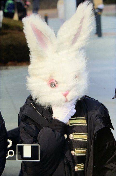 갈데까지 간 걸그룹 멤버.jpg