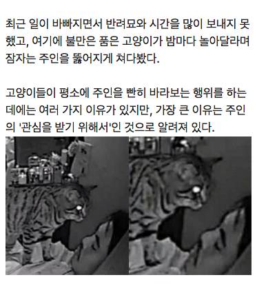 제가 매일 가위에 눌렸던 이유를 CCTV를 보고서야 알았습니다