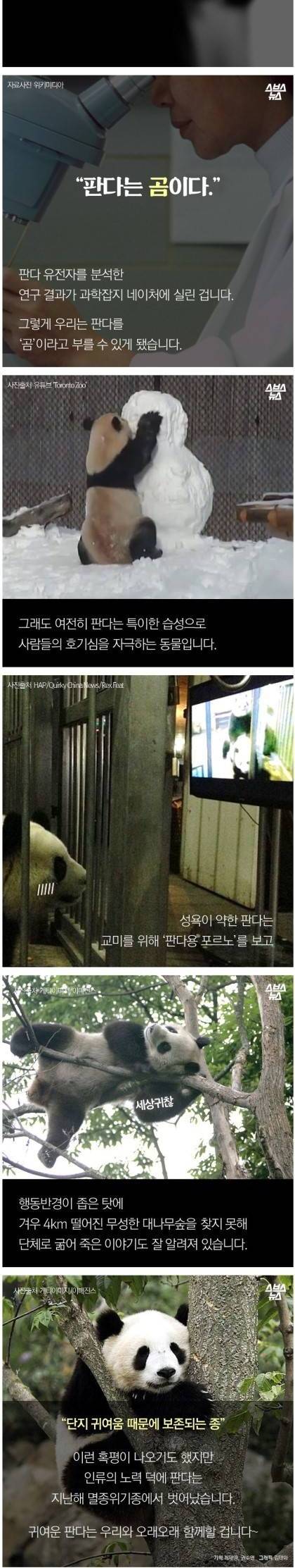 [스압] 심장 폭행 당한 동물학자.jpg