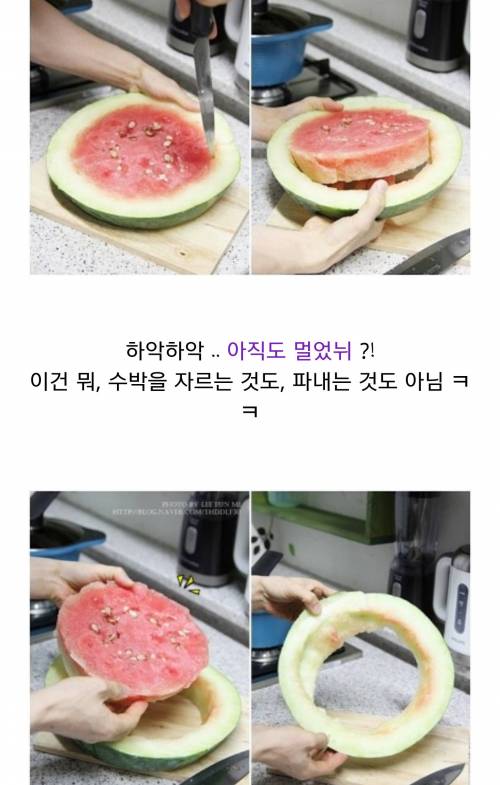 [스압] 전설의 엄청 비싼 무등산 수박 리뷰.jpg