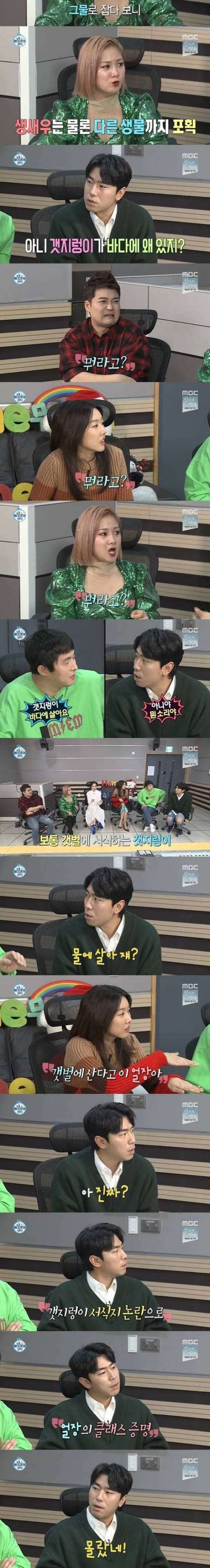 [스압] 갯지렁이.jpg