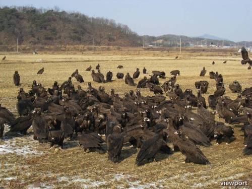 강원도에서 드론 날리면 안되는 이유