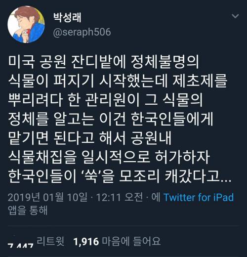 미국 공원 잔디밭에 정체불명의 식물이 퍼지기 시작했는데...jpg