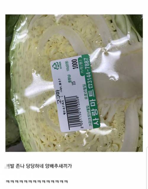 고구마 1000원.jpg