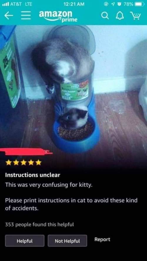 고양이 자율급식기 후기.jpg