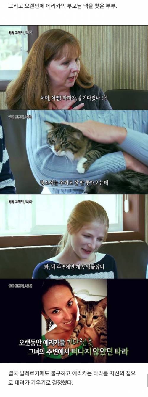 [스압] 영웅견 시상식에서 고양이가 수상하게된 사연.jpg