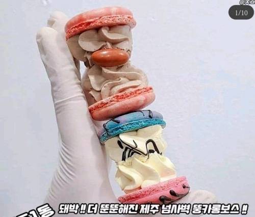 뚱카롱 근황.jpg