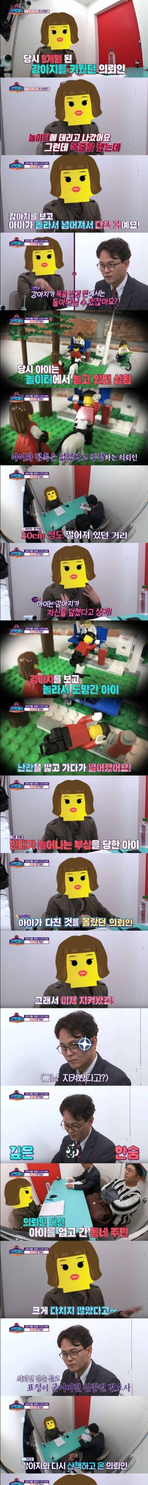 [스압] 강아지를 피하다 다친 아이 제 잘못인가요?