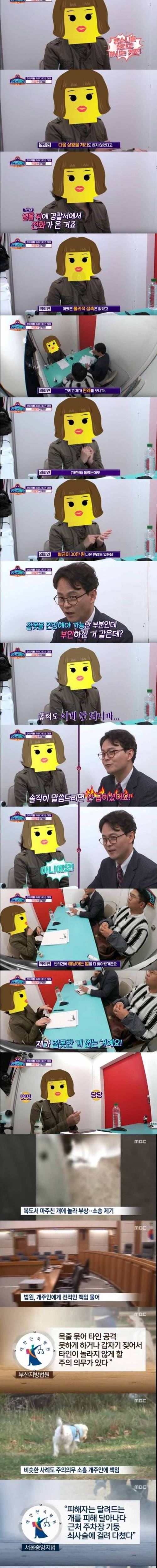 [스압] 강아지를 피하다 다친 아이 제 잘못인가요?