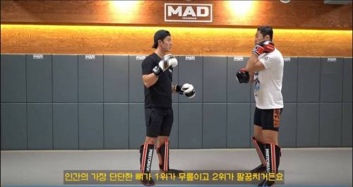 김동현의 궁금증.jpg