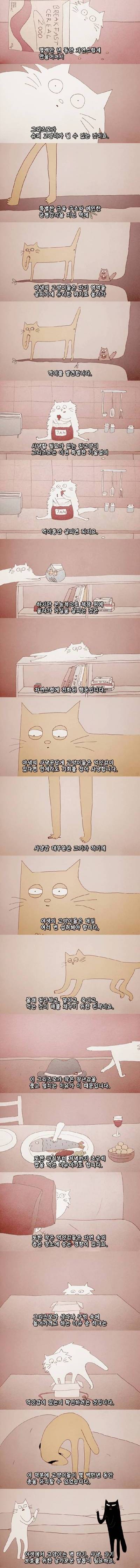 [스압] 고양이가  특이한 행동을 하는 이유.jpg