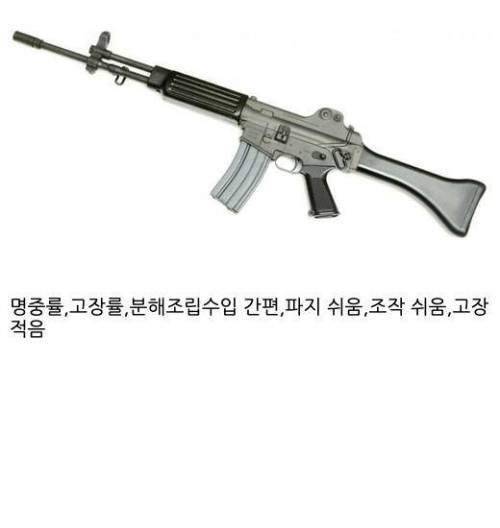 외국에 비벼도 꿀리지 않는 소총.jpg