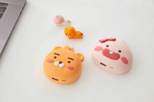 2019 황금돼지해 기념 카카오프렌즈 신제품.jpg
