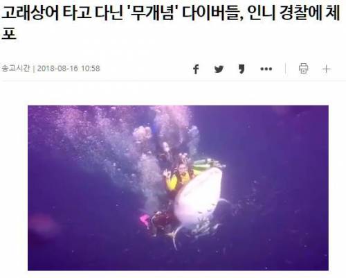 고래상어 근황.jpg