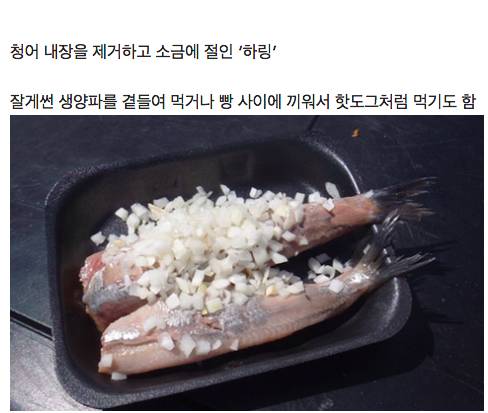 네덜란드가면 꼭 먹어봐야하는 명물 길거리 음식