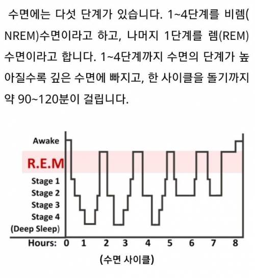 버스에서 졸 때, 도착할 때 쯤 깨는 이유는?