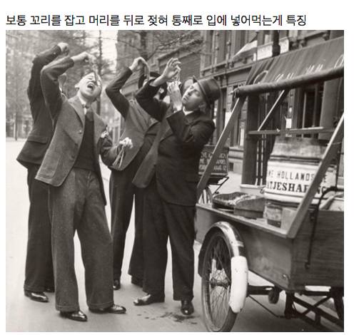 네덜란드가면 꼭 먹어봐야하는 명물 길거리 음식