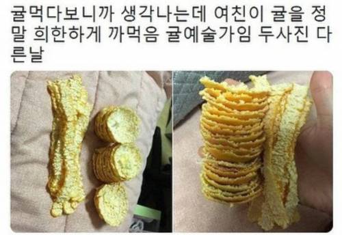 귤예술가.jpg
