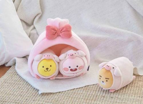 2019 황금돼지해 기념 카카오프렌즈 신제품.jpg