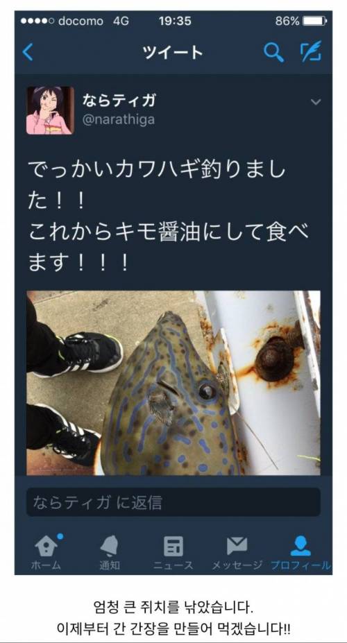 SNS의 순기능.jpg