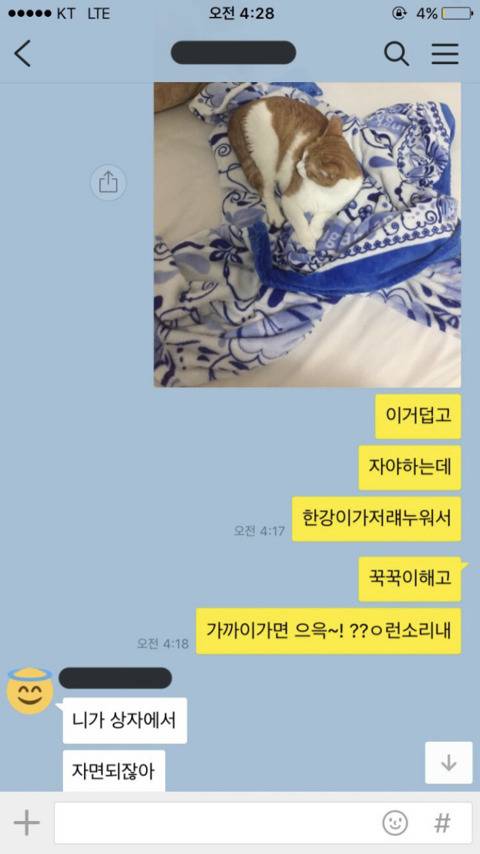 잠자리를 빼앗긴 집사.jpg