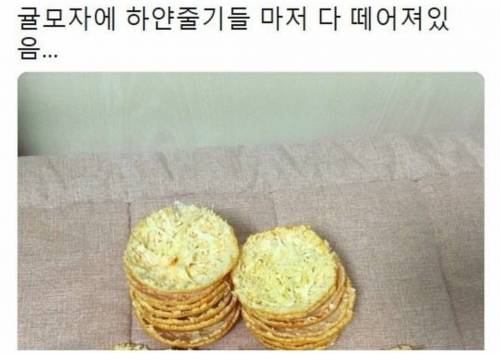 귤예술가.jpg
