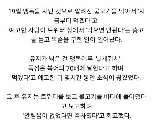 SNS의 순기능.jpg