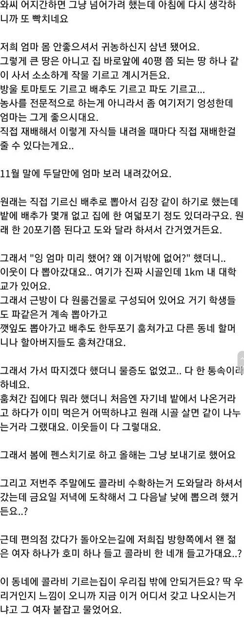 동네사람들이 자꾸 텃밭에서 훔쳐가요.jpg