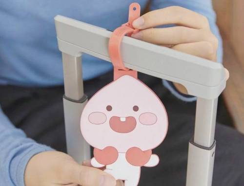 2019 황금돼지해 기념 카카오프렌즈 신제품.jpg