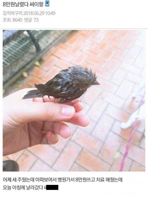 8만원 날림.jpg