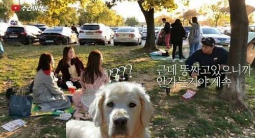 한강에서 똥을 쌌는데...jpg