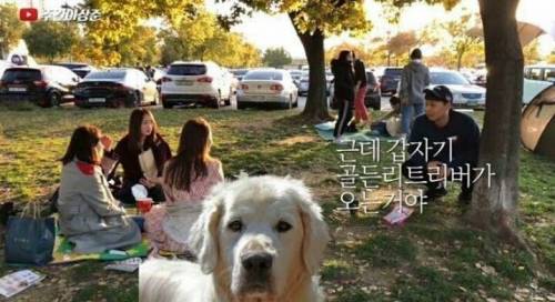 한강에서 똥을 쌌는데...jpg