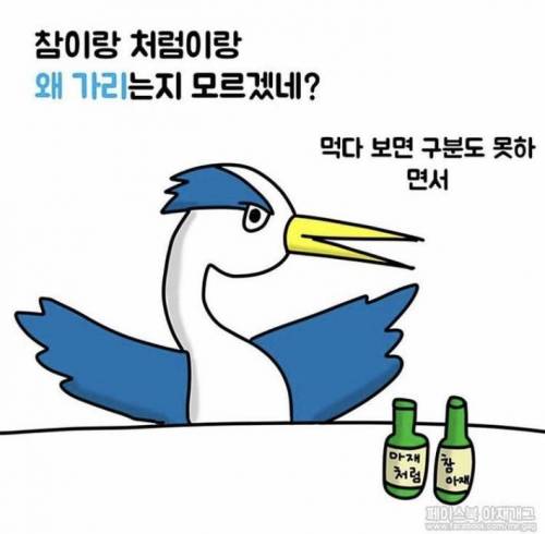 새들이 술먹을때 하는말.jpg