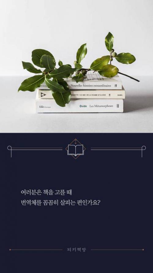 [스압] 번역의 중요성.jpg